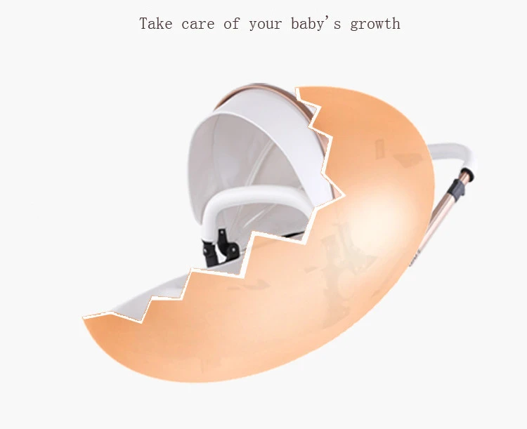 custom stroller