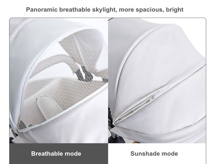 2 in 1 stroller